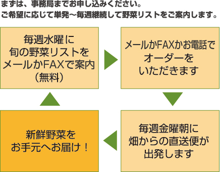 東播磨（加古川・稲美・明石）産新鮮野菜の配達・宅配